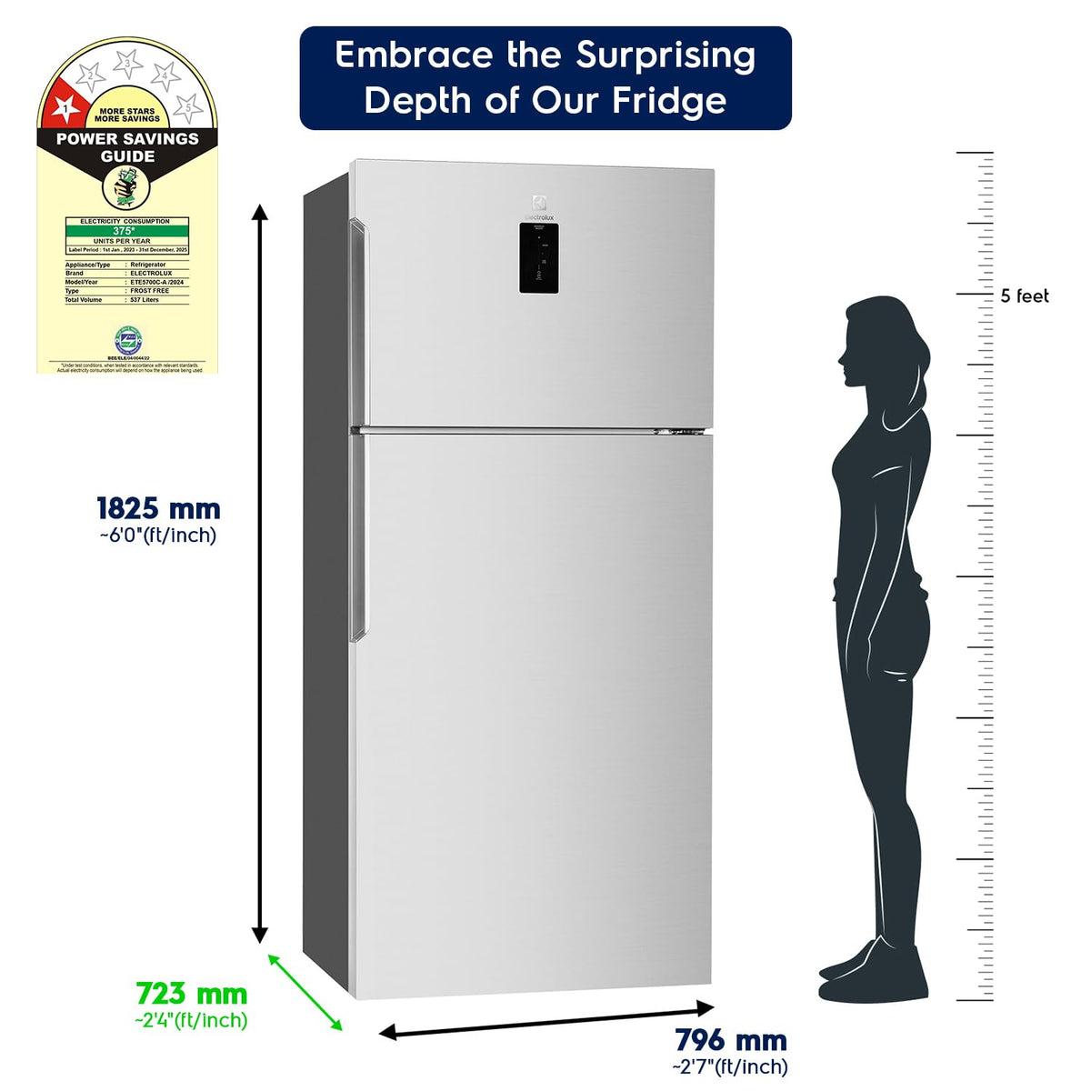 Electrolux 573L Frost Free Inverter Double Door Refrigerator, Top Freezer, TasteLockAuto & TasteGuard Technology, Arctic Silver Steel, UltimateTaste 500, ETE5700C-A | Open Box like New |