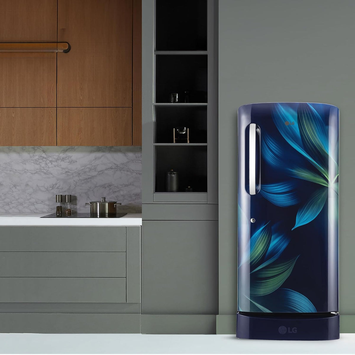 LG 210 L, 5 Star, Direct Cool, Smart Inverter Compressor, Single Door Refrigerator(GL-D231ABAU)