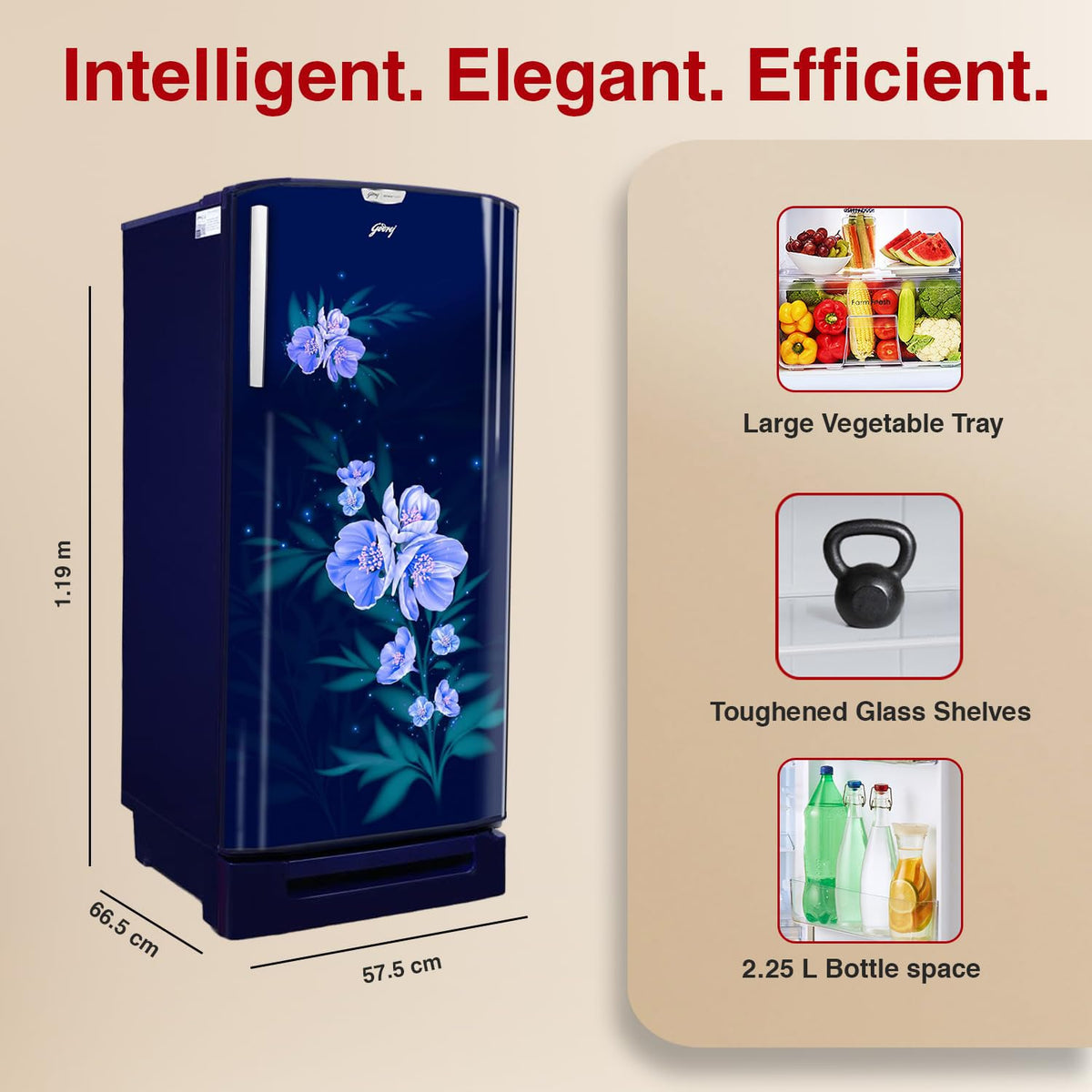 Godrej 180 L 5 Star Single Door Refrigerator (RD EDGENEO 207E TDF MP BL, Maple Blue)