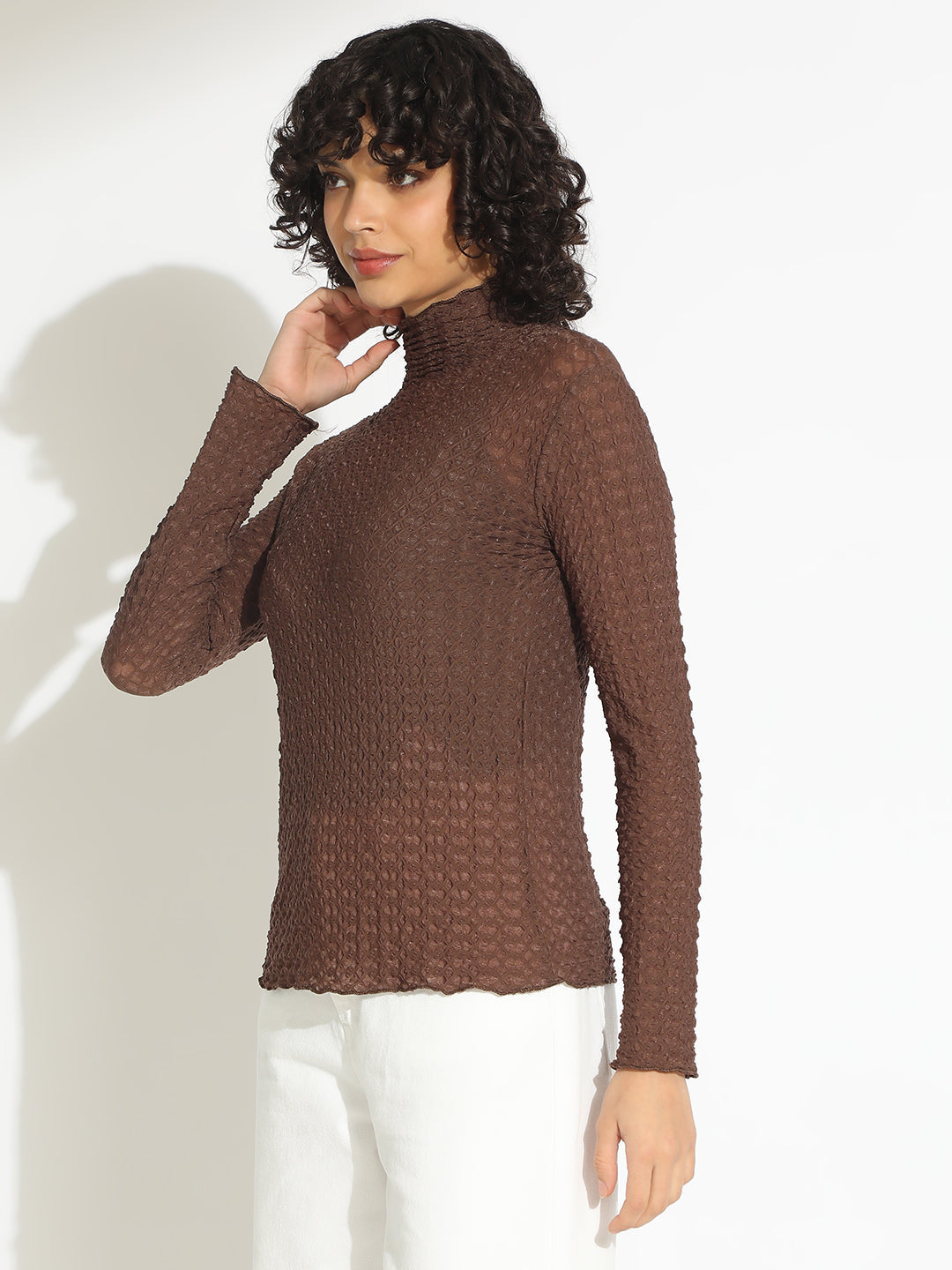 Women's Brown Textured Sheer High Neck Top