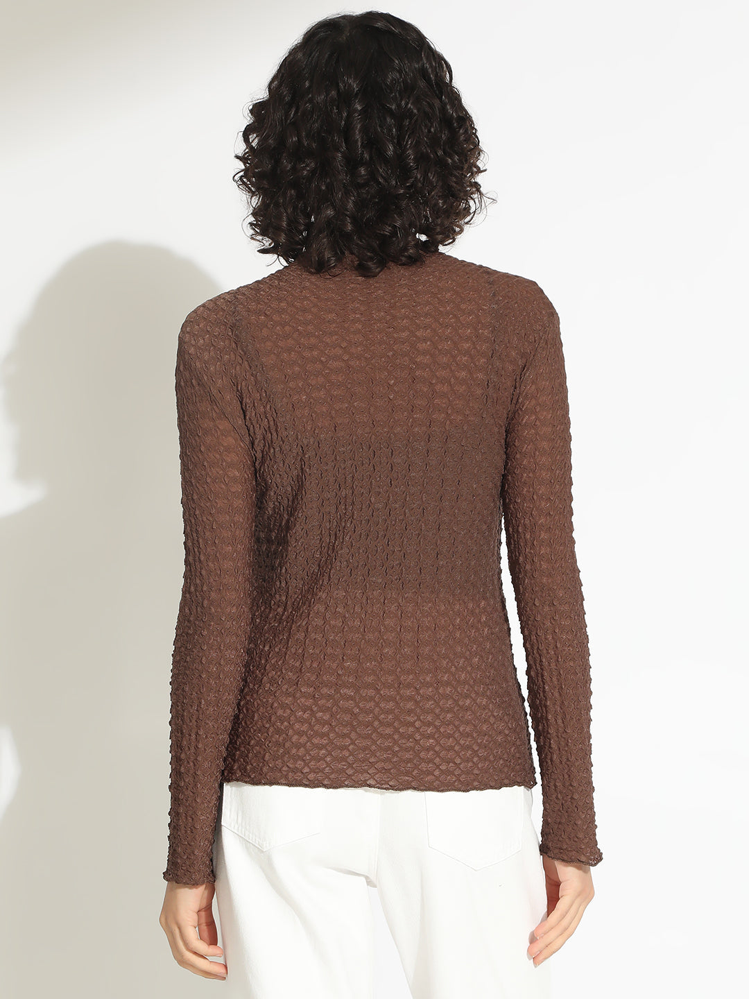 Women's Brown Textured Sheer High Neck Top