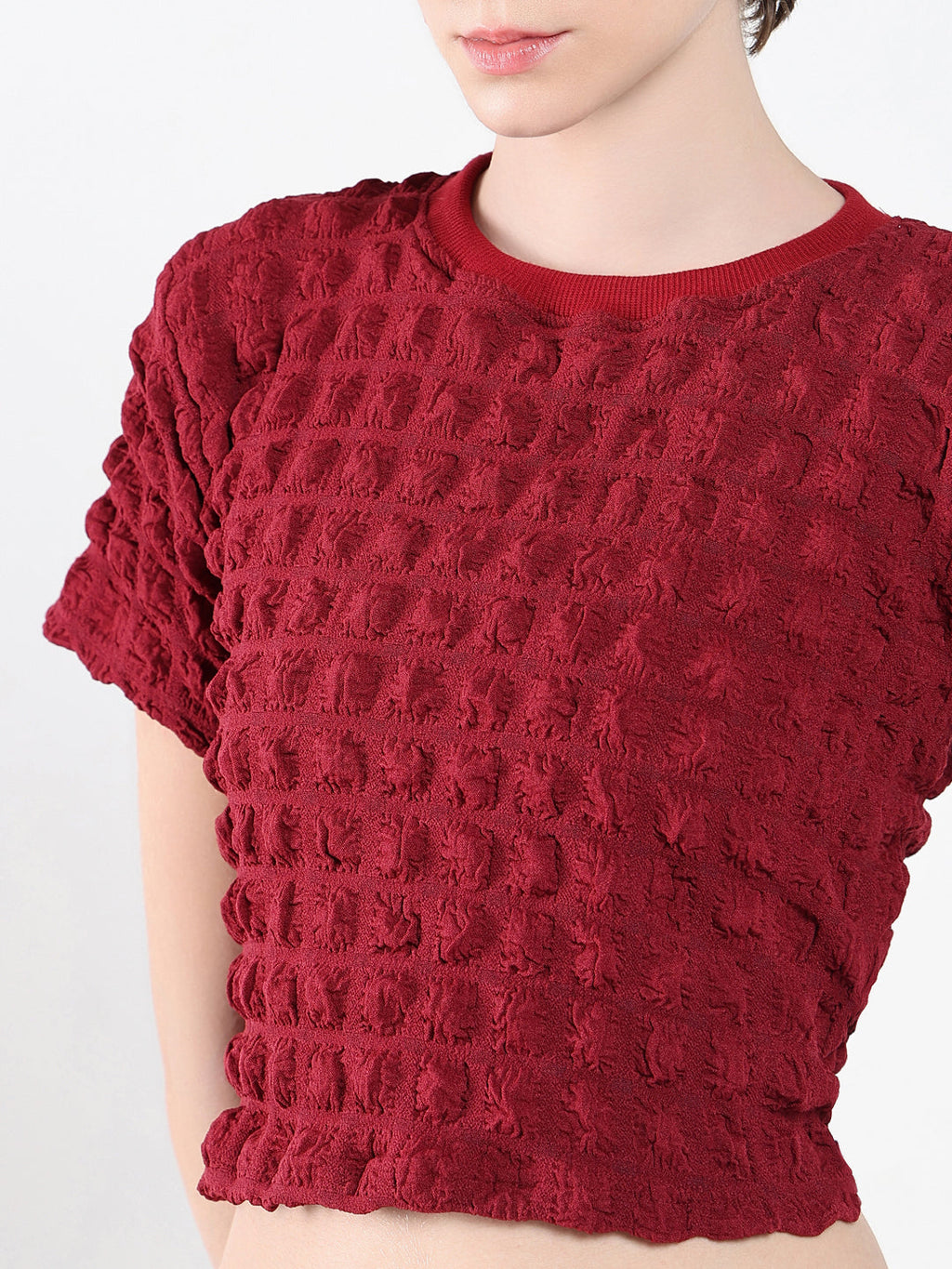 Women's Red Self Design Round Neck Acrylic Top